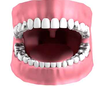 Mercury Amalgam Removal Greenville from Palmer Distinctive Dentistry